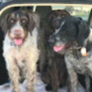 Meet your Posher, Lynn